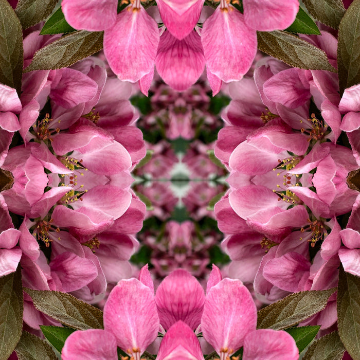 Symmetry - Pink and Green