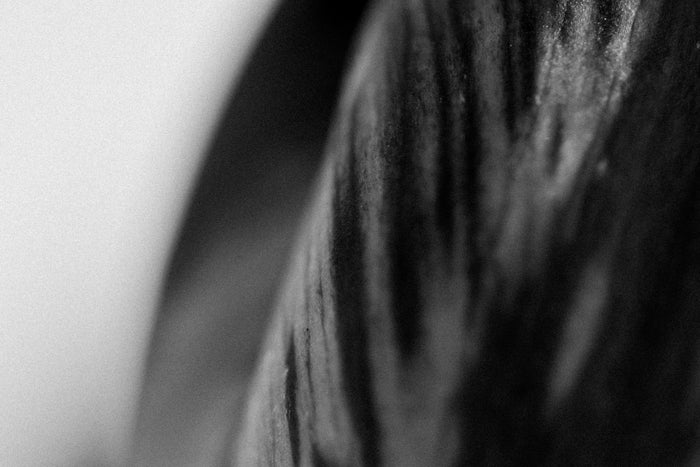 Textured Beauty