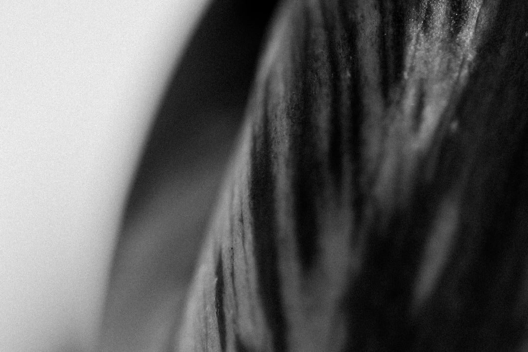 Textured Beauty