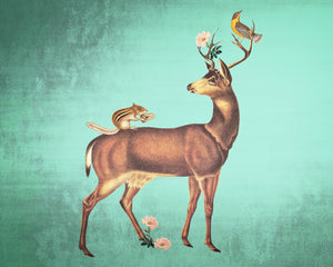 Blacktailed Deer and Friends