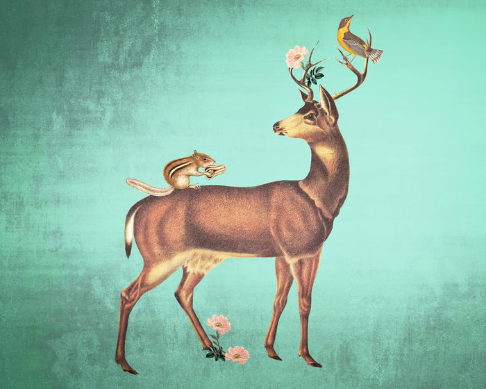 Blacktailed Deer and Friends