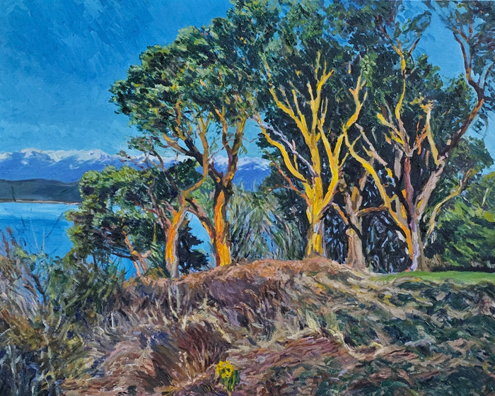 Madronas on the Bluff