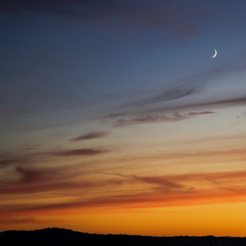 Moonrise Memories