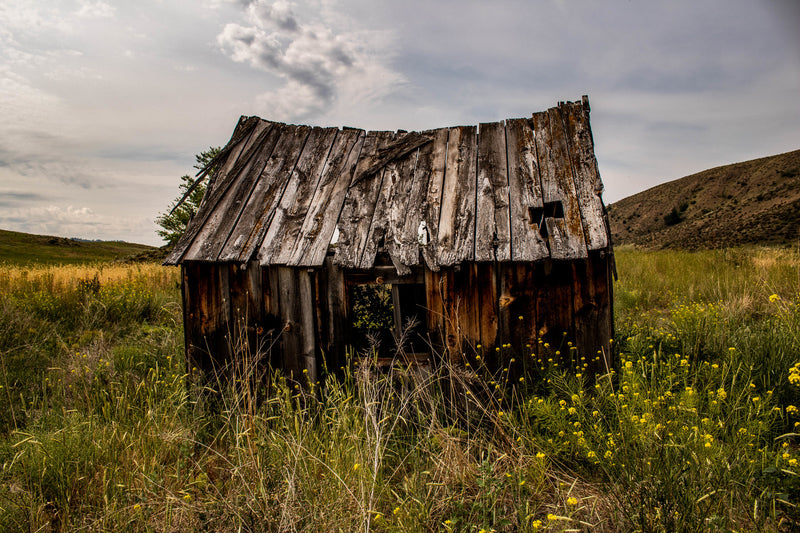 Abandoned History
