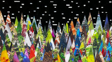 Load image into Gallery viewer, Disco Mycellium
