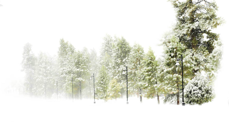 Winter Storm Road