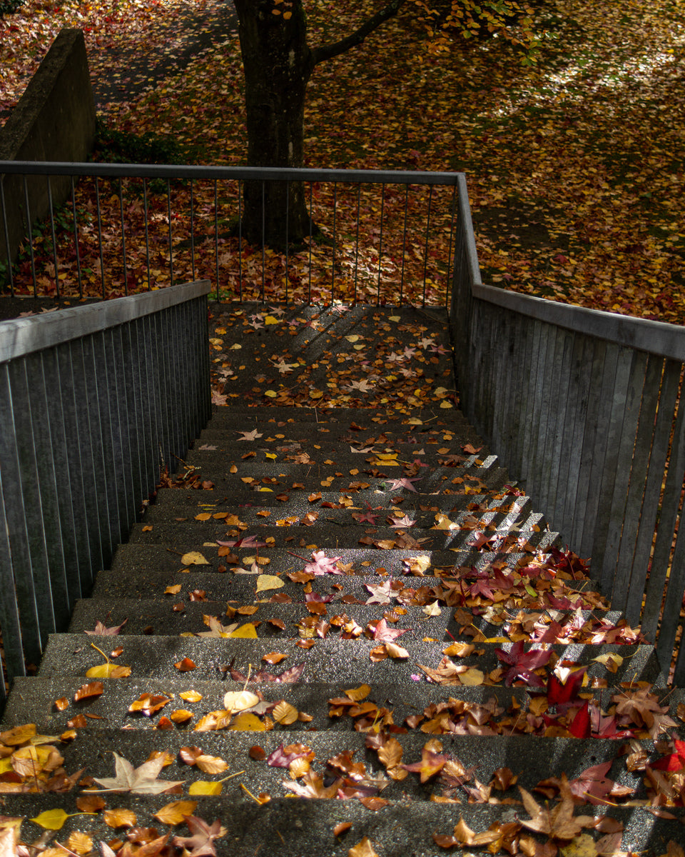 Stairway to Autumn