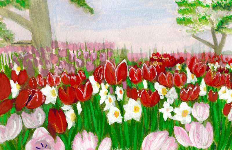 Fields of blooms