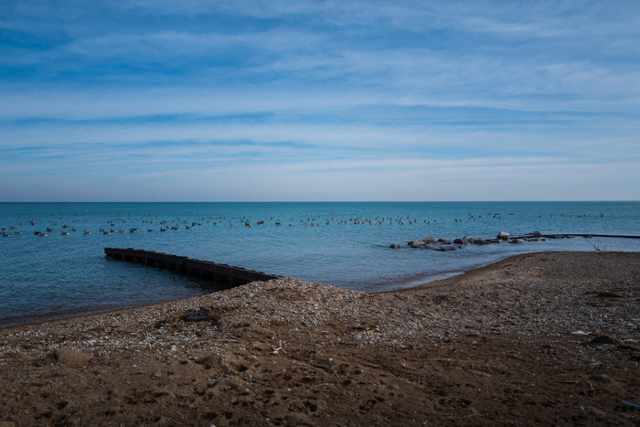 Winter Shore