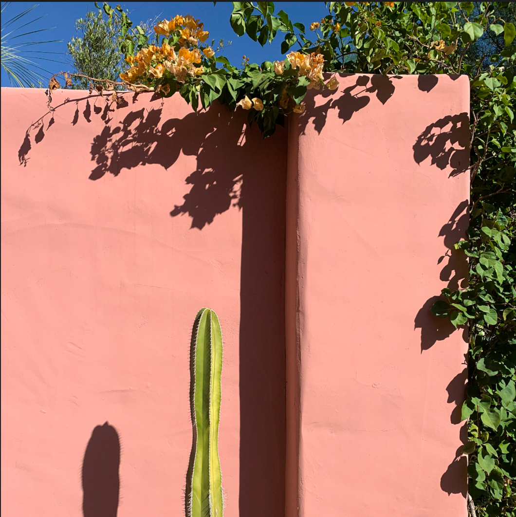Palm Springs Pink