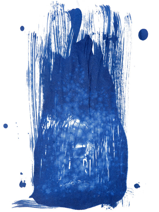 Tsushima Cyanotype No. 69