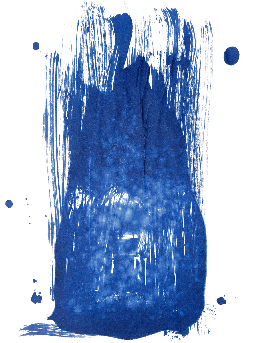 Tsushima Cyanotype No. 69