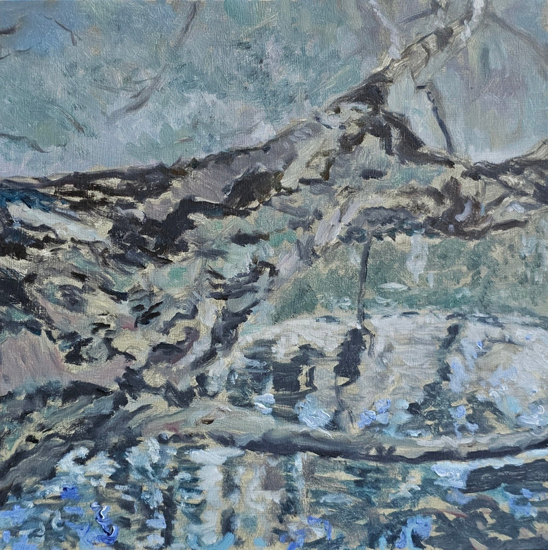 Tree hanging over Greenlake