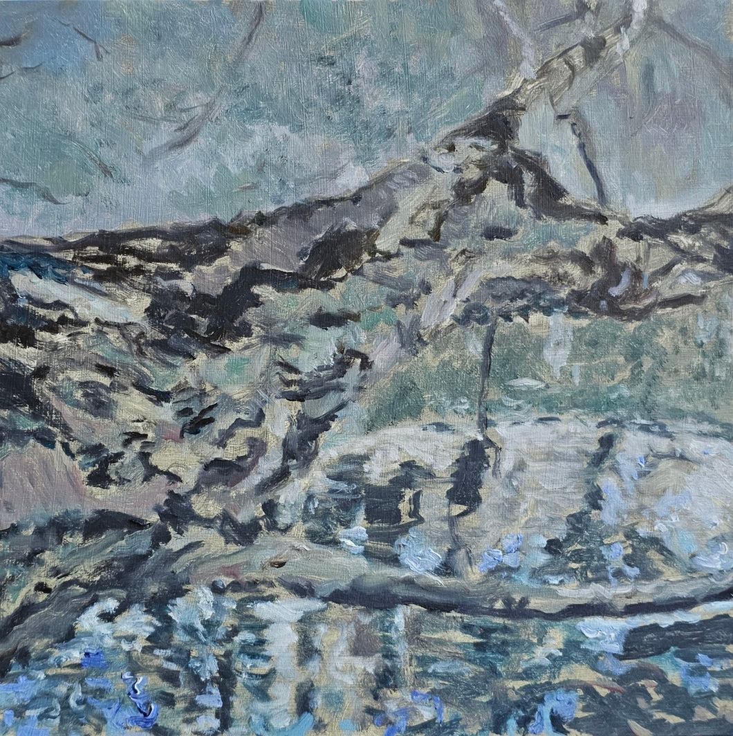 Tree hanging over Greenlake