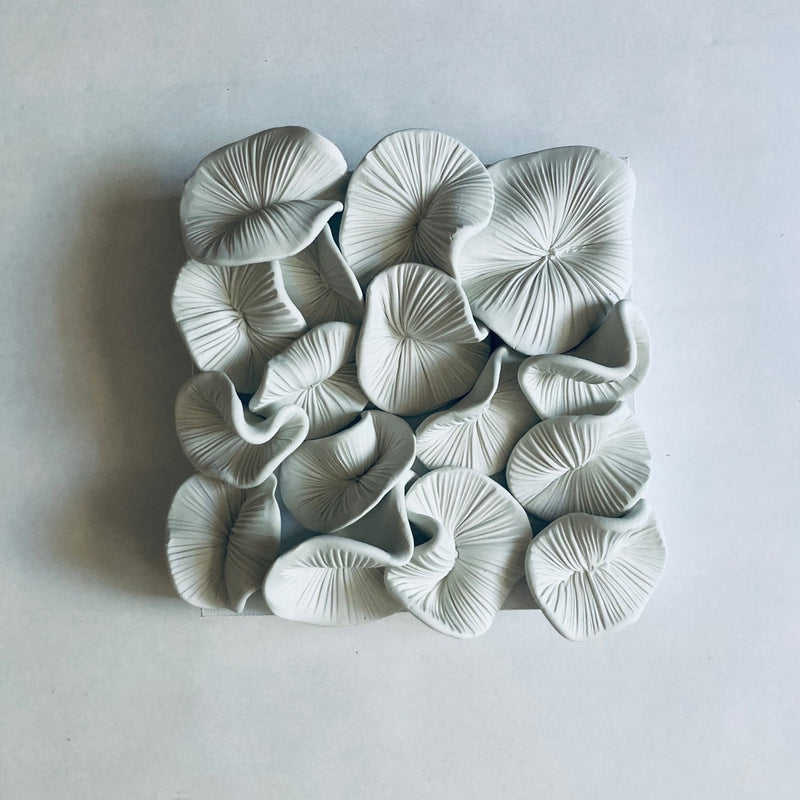 Sea Spores