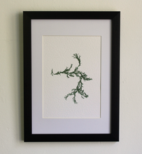 Load image into Gallery viewer, Sargassum II (Systems&#39; Garden series)
