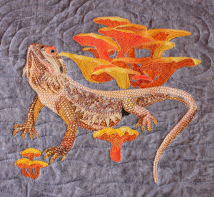Bearded Dragon with Chanterelles