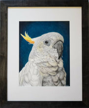 Load image into Gallery viewer, The Laureat
