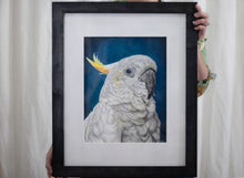 Load image into Gallery viewer, The Laureat
