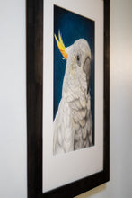 Load image into Gallery viewer, The Laureat
