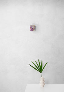 Royalforest and Stack