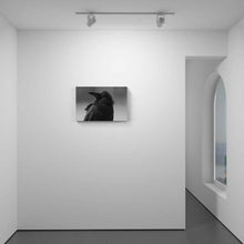 Load image into Gallery viewer, Rainy Crow
