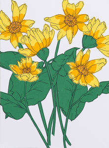 Wild Balsamroot