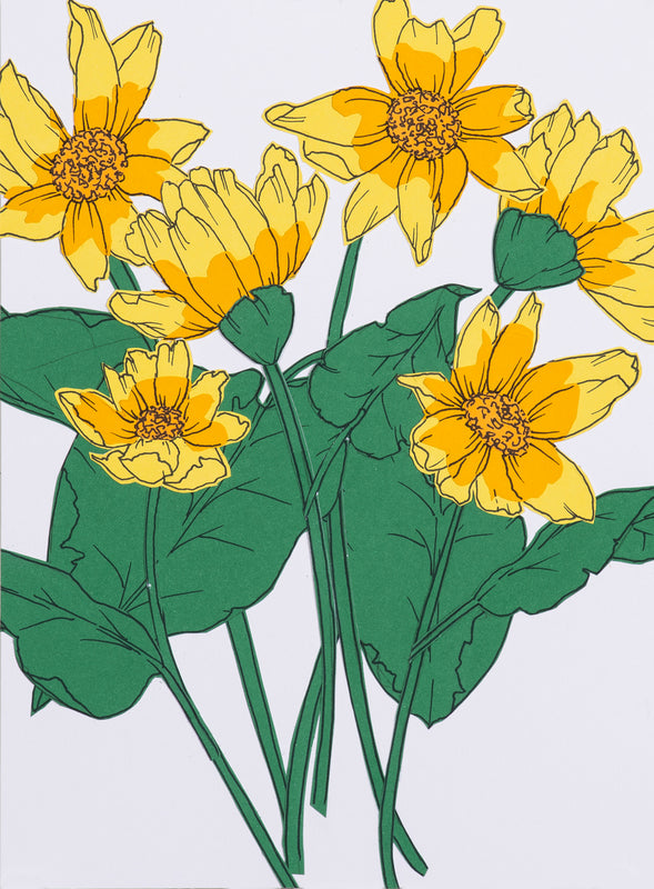 Wild Balsamroot