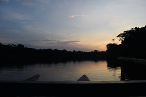 Dusk on the Amazon