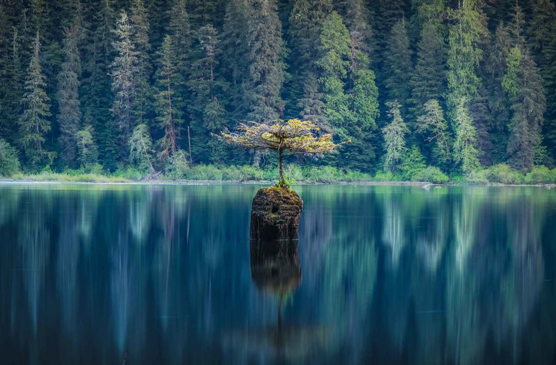 Fairy Lake