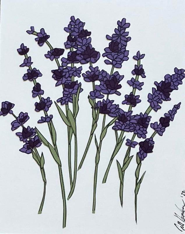 Lavender