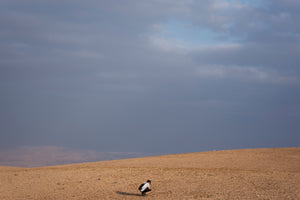 Untitled, Marrakech (Speck Series)