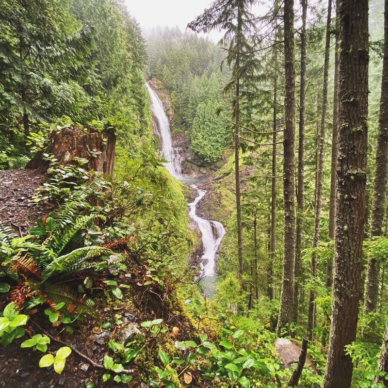 Chasing Waterfalls