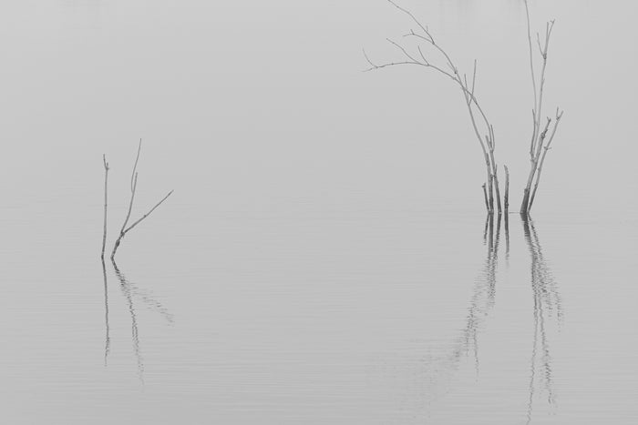 Peacefull reflection