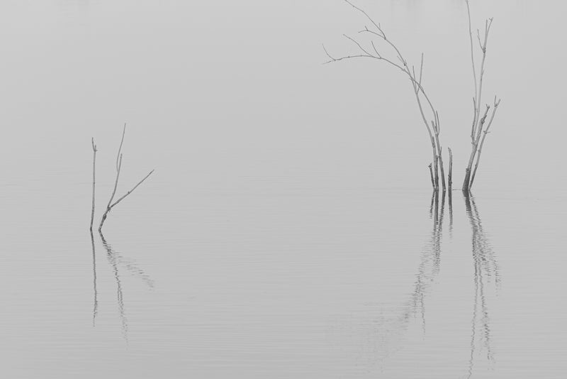 Peacefull reflection